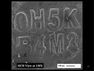 SEM View at 130X 