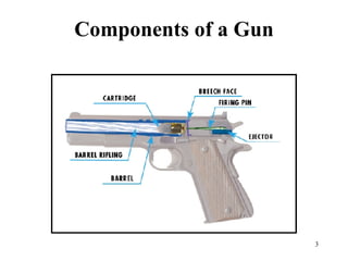 Components of a Gun 
