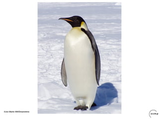 ©Jon Martin Will/Dreamstime
 