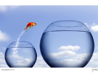 Photo ©Mikdam/Crestock
 