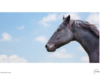 ©jblackstock/Crestock
 