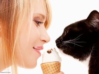 ©dolgachov/Crestock
 