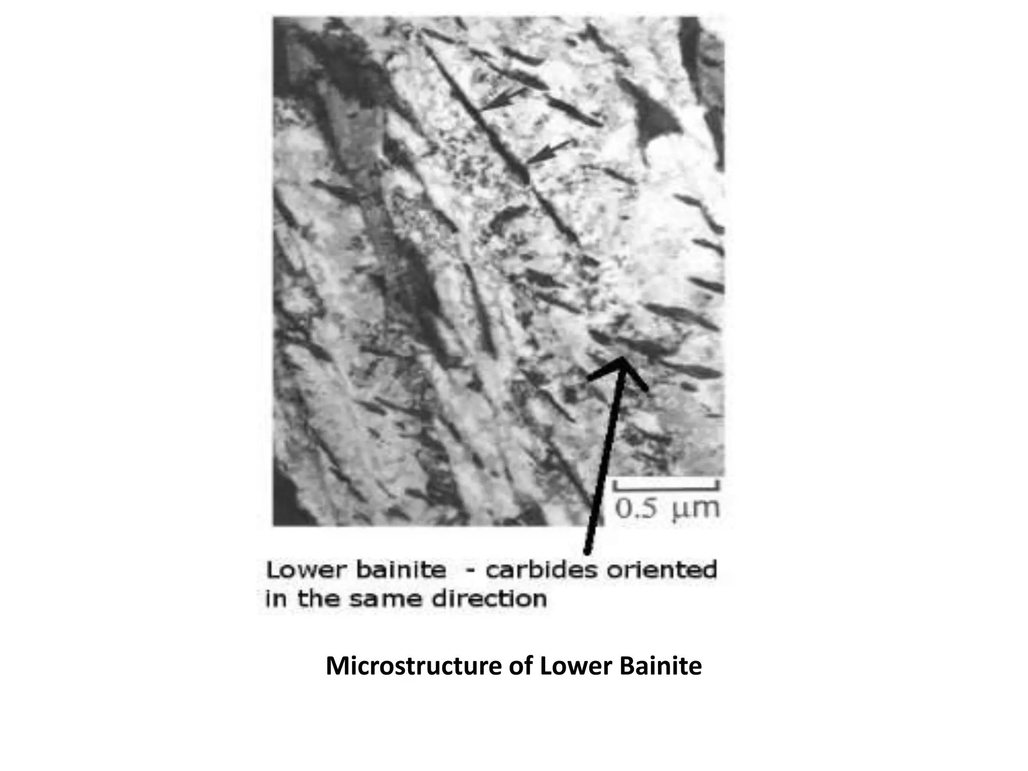 Microstructure of Low, Medium and High Carbon Steels.pptx