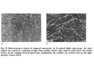 Ivory Microstructure Microstructures | PPT