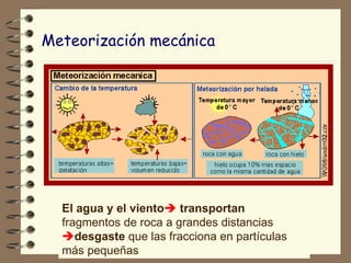 Meteorización mecánica El agua y el viento    transportan  fragmentos de roca a grandes distancias   desgaste  que las fracciona en partículas más pequeñas 