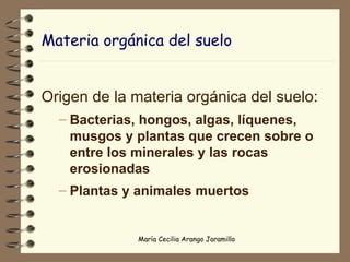 Materia orgánica del suelo Origen de la materia orgánica del suelo: Bacterias, hongos, algas, líquenes, musgos y plantas que crecen sobre o entre los minerales y las rocas erosionadas Plantas y animales muertos 