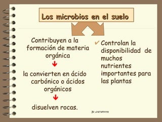 Contribuyen a la formación de materia orgánica  la convierten en ácido carbónico o ácidos orgánicos  disuelven rocas. Controlan la disponibilidad  de muchos nutrientes importantes para las plantas Los microbios en el suelo   