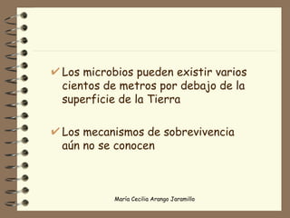 Los microbios pueden existir varios cientos de metros por debajo de la superficie de la Tierra Los mecanismos de sobrevivencia aún no se conocen 
