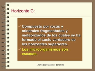 Horizonte C: Compuesto por rocas y minerales fragmentados y meteorizados de los cuales se ha formado el suelo verdadero de los horizontes superiores. Los microorganismos son escasos. 