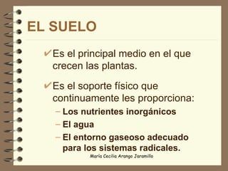 EL SUELO Es el principal medio en el que crecen las plantas.  Es el soporte físico que continuamente les proporciona: Los nutrientes inorgánicos El agua El entorno gaseoso adecuado para los sistemas radicales.   