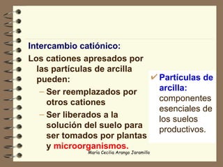 Intercambio catiónico: Los cationes apresados por las partículas de arcilla pueden: Ser reemplazados por otros cationes Ser liberados a la solución del suelo para ser tomados por plantas y   microorganismos. Partículas de arcilla:  componentes esenciales de los suelos productivos. 