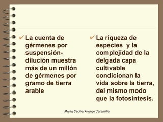 La cuenta de gérmenes por suspensión- dilución muestra más de un millón de gérmenes por gramo de tierra arable La riqueza de especies  y la complejidad de la delgada capa cultivable condicionan la vida sobre la tierra, del mismo modo que la fotosíntesis. 