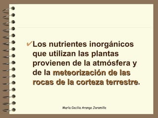 Los nutrientes inorgánicos que utilizan las plantas provienen de la atmósfera y de la  meteorización de las rocas de la corteza terrestre . 