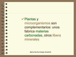 Plantas  y  microorganismos  son complementarios: unos fabrica  materias carbonadas , otros  libera minerales 