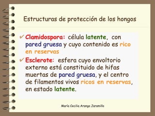 Estructuras de protección de los hongos Clamidospora:   célula  latente ,  con  pared gruesa  y cuyo contenido es  rico en reservas Esclerote :   esfera cuyo envoltorio externo está constituido de hifas muertas de  pared gruesa , y el centro de filamentos vivos  ricos en reservas ,  en estado  latente .  