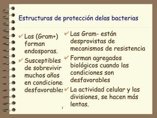 Estructuras de protección delas bacterias Las (Gram+) forman endosporas.  Susceptibles de sobrevivir muchos años en condiciones desfavorables. Las Gram- están desprovistas de mecanismos de resistencia Forman agregados biológicos cuando las condiciones son desfavorables La actividad celular y las divisiones, se hacen más lentas. 