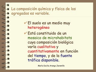 La composición química y física de los agregados es variable. El suelo es un medio muy  heterogéneo Está   constituido de un  mosaico de microhabitats  cuya composición biológica   varía  cualitativa  y  cuantitativamente  en función del  tiempo , y de la  fuente trófica disponible .  