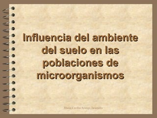I nfluencia del ambiente del suelo en las poblaciones de microorganismos 
