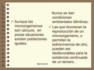 Aunque los microorganismos son ubicuos,  en pocas situaciones existen poblaciones iguales. Nunca se dan condiciones ambientales idénticas: Las que favorecen la reproducción de un microorganismo, o permiten la sobrevivencia de otro, pueden ser desfavorables para la existencia continuada de un tercero. 