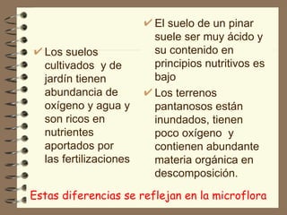 Estas diferencias se reflejan en la microflora Los suelos cultivados  y de jardín tienen abundancia de oxígeno y agua y son ricos en nutrientes aportados por las fertilizaciones El suelo de un pinar suele ser muy ácido y su contenido en principios nutritivos es bajo Los terrenos pantanosos están inundados, tienen poco oxígeno  y contienen abundante materia orgánica en descomposición. 
