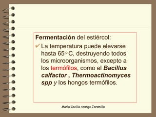 Fermentación  del estiércol:  La temperatura puede elevarse hasta 65  o  C, destruyendo todos los microorganismos, excepto a los  termófilos , como el  Bacillus   calfactor  ,  Thermoactinomyces   spp  y  los hongos termófilos. 