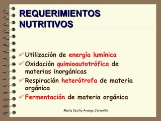 REQUERIMIENTOS NUTRITIVOS Utilización de  energía lumínica Oxidación  quimioautotrófica  de materias inorgánicas Respiración  heterótrofa  de materia orgánica Fermentación  de materia orgánica 