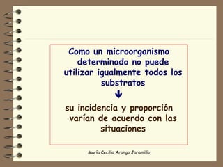 Como un microorganismo determinado no puede utilizar igualmente todos los substratos  su incidencia y proporción varían de acuerdo con las situaciones 
