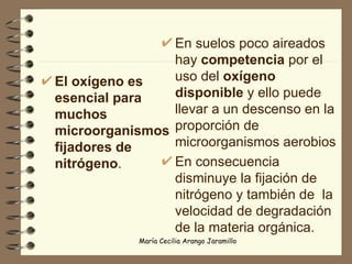El oxígeno es esencial para muchos microorganismos fijadores de nitrógeno . En suelos poco aireados hay  competencia  por el uso del  oxígeno disponible  y ello puede llevar a un descenso en la proporción de microorganismos aerobios En consecuencia disminuye la fijación de nitrógeno y también de  la velocidad de degradación de la materia orgánica.  