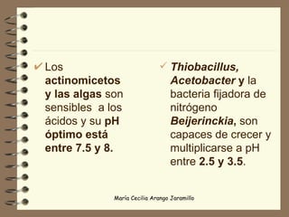 Los  actinomicetos y las algas  son sensibles  a los ácidos y su  pH óptimo está  entre 7.5 y 8. Thiobacillus,   Acetobacter  y  la bacteria fijadora de nitrógeno   Beijerinckia ,  son capaces de crecer y multiplicarse a pH entre  2.5 y 3.5 . 