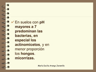 En suelos con  pH mayores a 7 predominan las bacterias, en especial los actinomicetos , y en menor proporción los  hongos .  micorrizas. 