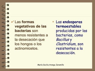 Las  formas vegetativas de las bacterias  son menos resistentes a la desecación que los hongos o los actinomicetos. Las  endosporas termoestables  producidas por las bacterias, como  Bacillus  y  Clostridium,  son resistentes a la desecación . 