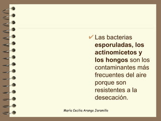 Las bacterias  esporuladas, los actinomicetos y los hongos  son los contaminantes más frecuentes del aire porque son resistentes a la desecación. 