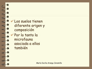 Los suelos tienen diferente origen y composición Por lo tanto la microfauna asociada a ellos también 