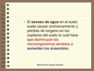 El  exceso de agua  en el suelo suele causar encharcamiento y pérdida de oxígeno en los capilares del suelo lo cual hace que  disminuyan los microorganismos aerobios  y  aumenten los anaerobios . 