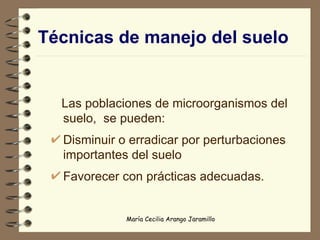Técnicas de manejo del suelo Las poblaciones de microorganismos del suelo,  se pueden: Disminuir o erradicar por perturbaciones importantes del suelo Favorecer con prácticas adecuadas. 