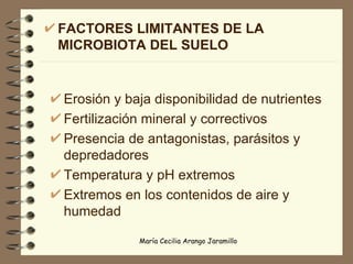 FACTORES LIMITANTES DE LA MICROBIOTA DEL SUELO Erosión y baja disponibilidad de nutrientes Fertilización mineral y correctivos Presencia de antagonistas, parásitos y depredadores Temperatura y pH extremos Extremos en los contenidos de aire y humedad 
