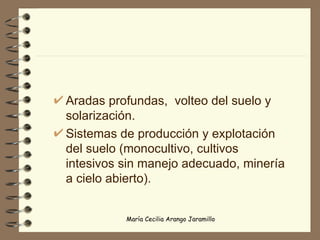 Aradas profundas,  volteo del suelo y solarización. Sistemas de producción y explotación del suelo (monocultivo, cultivos intesivos sin manejo adecuado, minería a cielo abierto). 