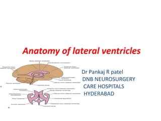 Anatomy of lateral ventricles
Dr Pankaj R patel
DNB NEUROSURGERY
CARE HOSPITALS
HYDERABAD
 