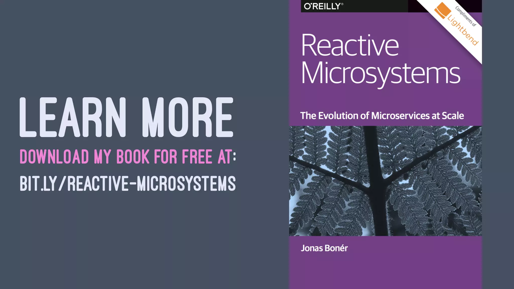 LEARN MOREDOWNLOAD MY BOOK FOR FREE AT:
BIT.LY/REACTIVE-MICROSYSTEMS
 