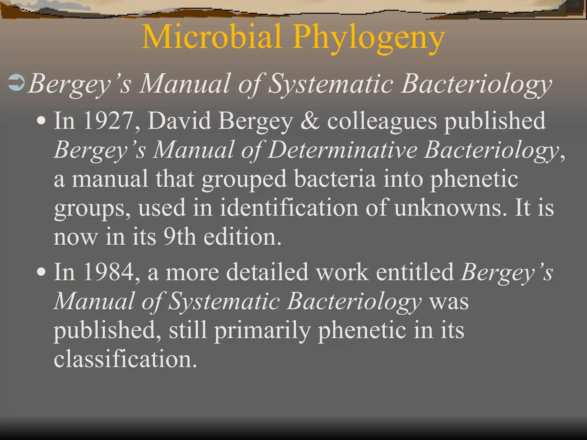 Microbial Phylogeny Bergey’s Manual of Systematic Bacteriology In 1927, David Bergey & colleagues published  Bergey’s Manual of Determinative Bacteriology , a manual that grouped bacteria into phenetic groups, used in identification of unknowns. It is now in its 9th edition. In 1984, a more detailed work entitled  Bergey’s Manual of Systematic Bacteriology  was published, still primarily phenetic in its classification. 