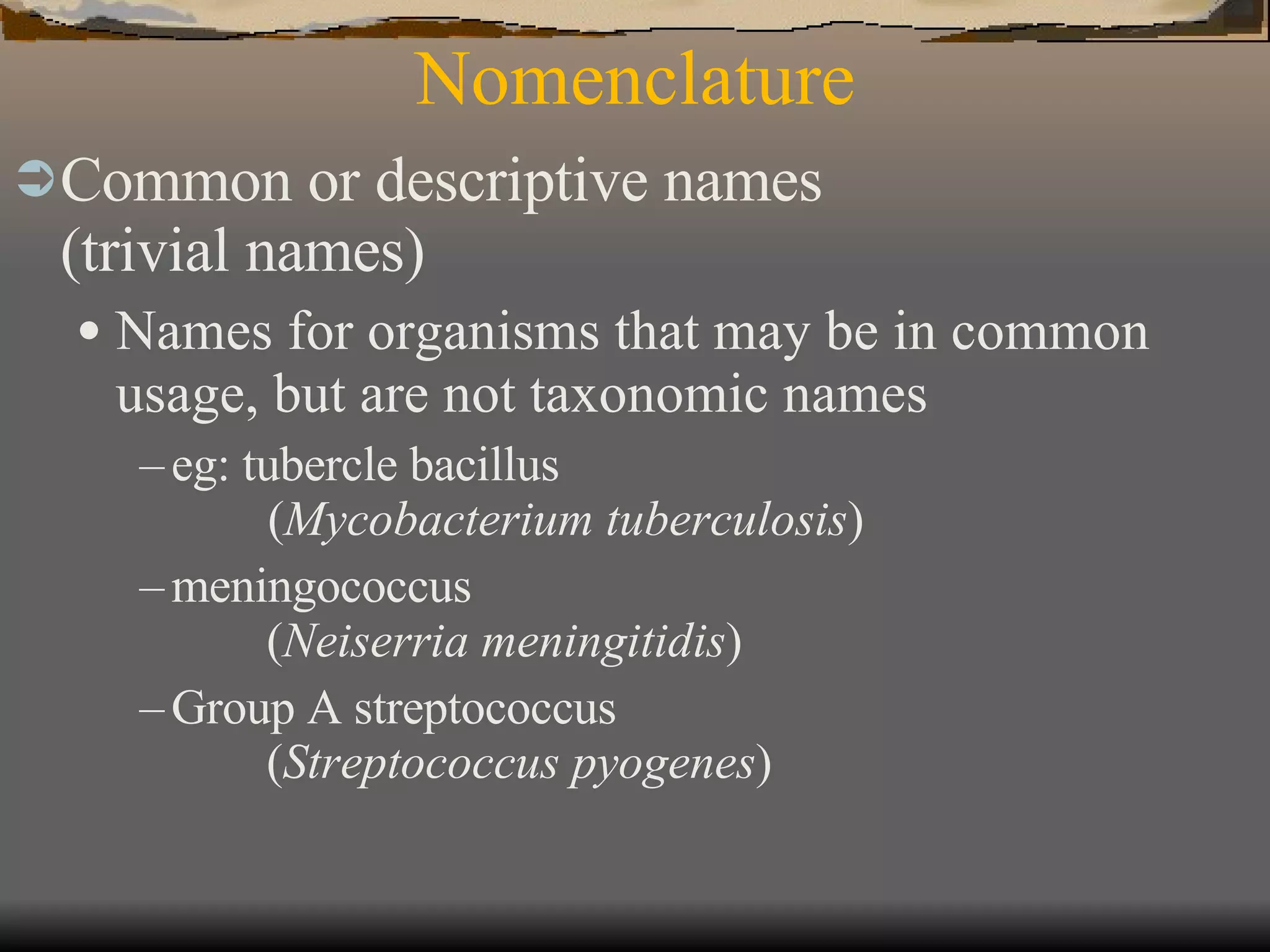 Nomenclature Common or descriptive names  (trivial names) Names for organisms that may be in common usage, but are not taxonomic names eg: tubercle bacillus          ( Mycobacterium tuberculosis ) meningococcus    ( Neiserria meningitidis ) Group A streptococcus  ( Streptococcus pyogenes ) 