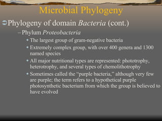 Microbial Phylogeny Phylogeny of domain  Bacteria  (cont.)   Phylum  Proteobacteria The largest group of gram-negative bacteria Extremely complex group, with over 400 genera and 1300 named species All major nutritional types are represented: phototrophy, heterotrophy, and several types of chemolithotrophy Sometimes called the “purple bacteria,” although very few are purple; the term refers to a hypothetical purple photosynthetic bacterium from which the group is believed to have evolved 