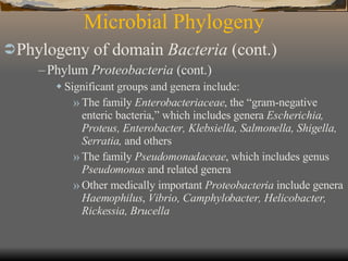 Microbial Phylogeny Phylogeny of domain  Bacteria  (cont.)   Phylum  Proteobacteria  (cont.) Significant groups and genera include: The family  Enterobacteriaceae , the “gram-negative enteric bacteria,” which includes genera  Escherichia, Proteus, Enterobacter, Klebsiella, Salmonella, Shigella, Serratia,  and others The family  Pseudomonadaceae , which includes genus  Pseudomonas  and related genera Other medically important  Proteobacteria  include genera  Haemophilus ,  Vibrio, Camphylobacter, Helicobacter, Rickessia, Brucella 