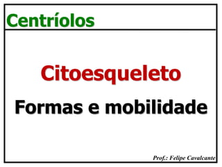 Prof.: Felipe Cavalcante
Centríolos
Formas e mobilidade
Citoesqueleto
 