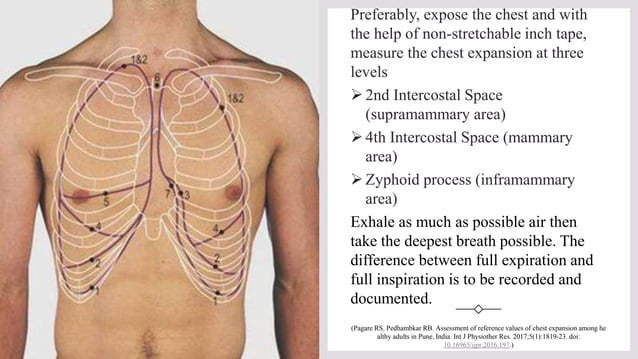 Assessment of Chest Expansion.pptx | Lung and Respiratory Health ...
