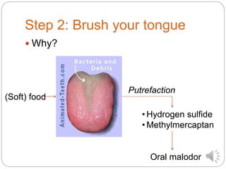 Step 2: Brush your tongue
 Why?
(Soft) food
• Hydrogen sulfide
• Methylmercaptan
Putrefaction
Oral malodor
 