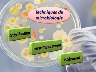 Techniques de
microbiologie
 
