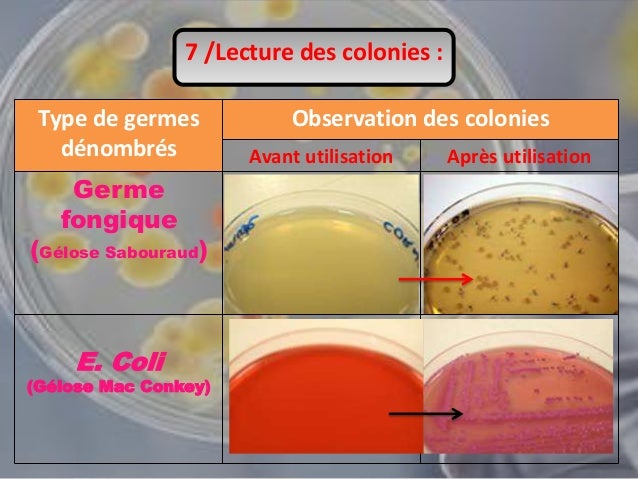 les techniques de controle microbiologique des medicaments