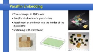 PREPARATION OF BIOLOGICAL SPECIMENS FOR LIGHT MICROSCOPY | PPTX