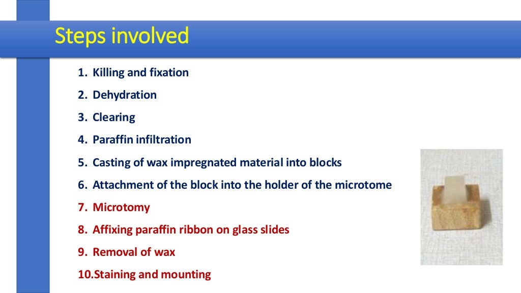 PREPARATION OF BIOLOGICAL SPECIMENS FOR LIGHT MICROSCOPY